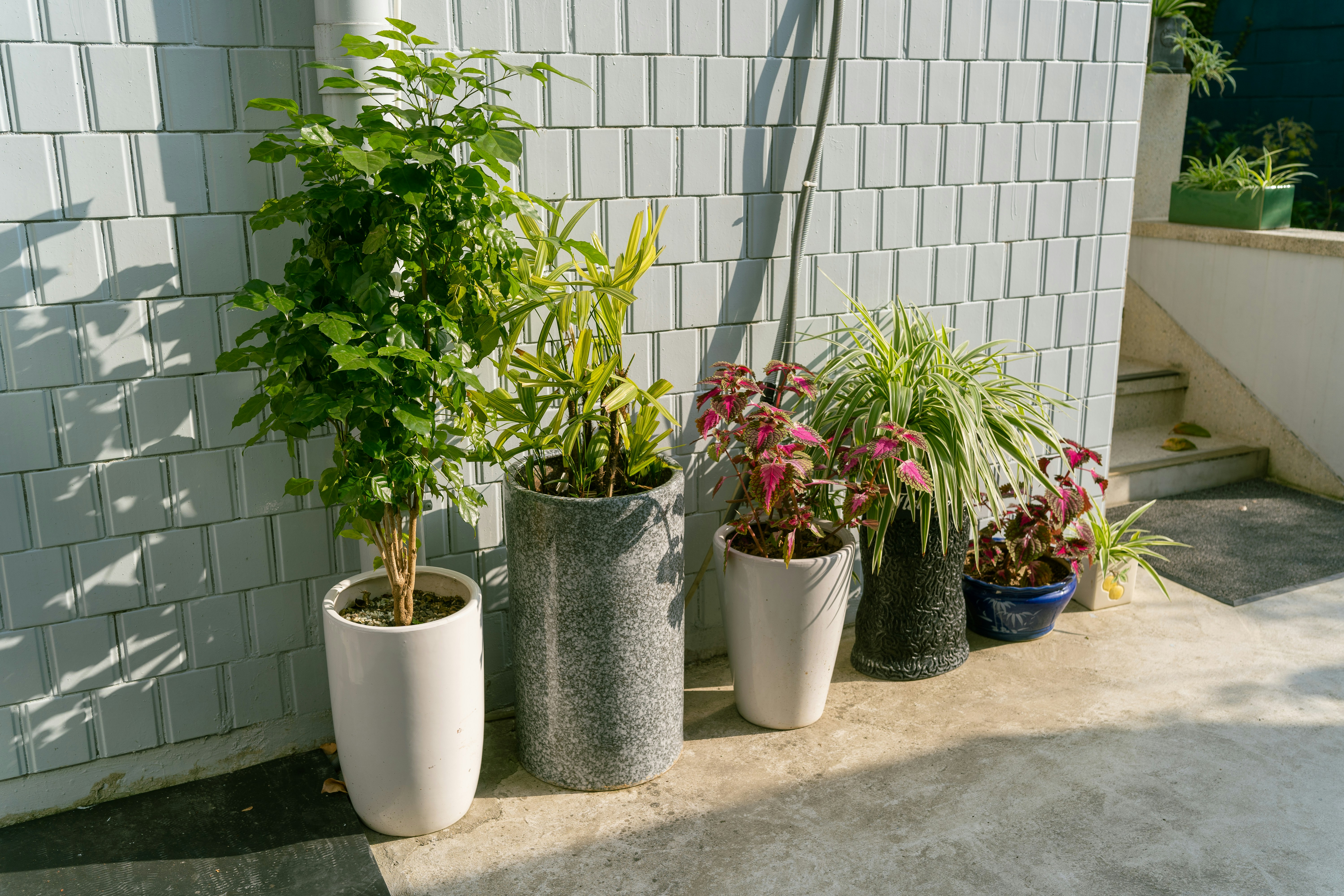 Décoration extérieure — pots et jardinières